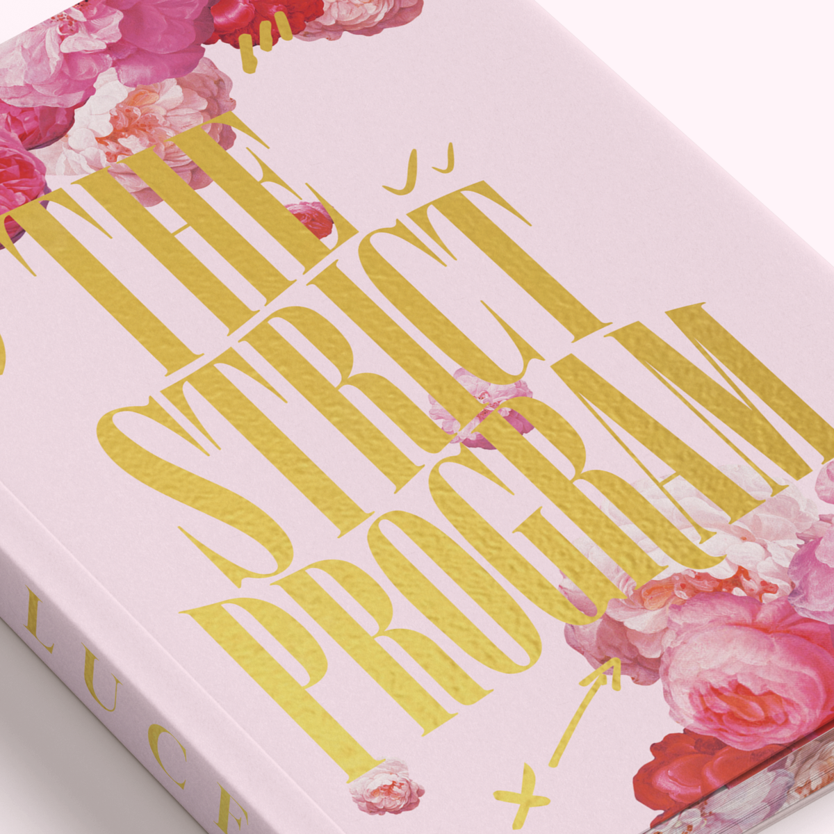 Strict Program The Strict Program by Tania Lucely — How to Date Effectively and Win at ...